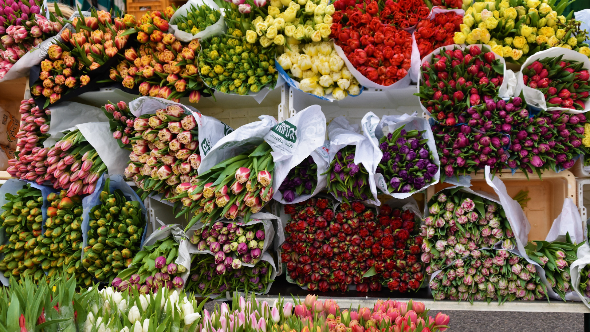Bloemen-ingepakt.png