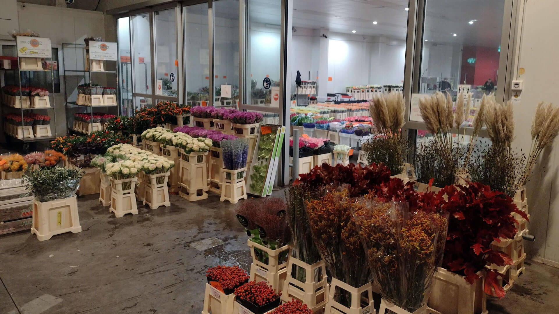 yB6b6yXC1OJBhaEo1j3EuUPlBaXVUWMt7Xd9rGl1